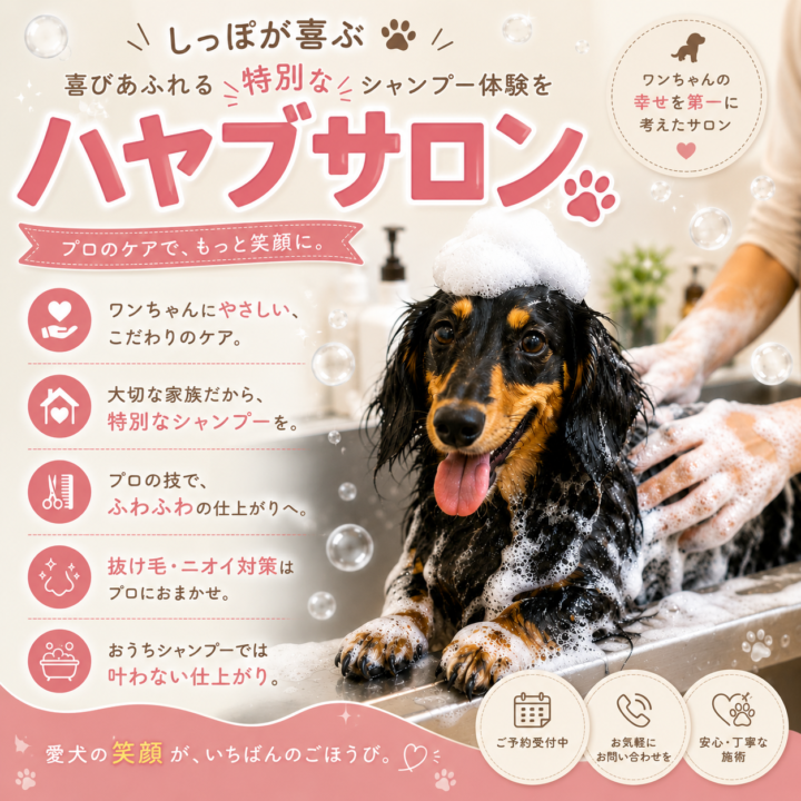 次回訪問日【2026.7.26】※訪問シャンプーサービス♪