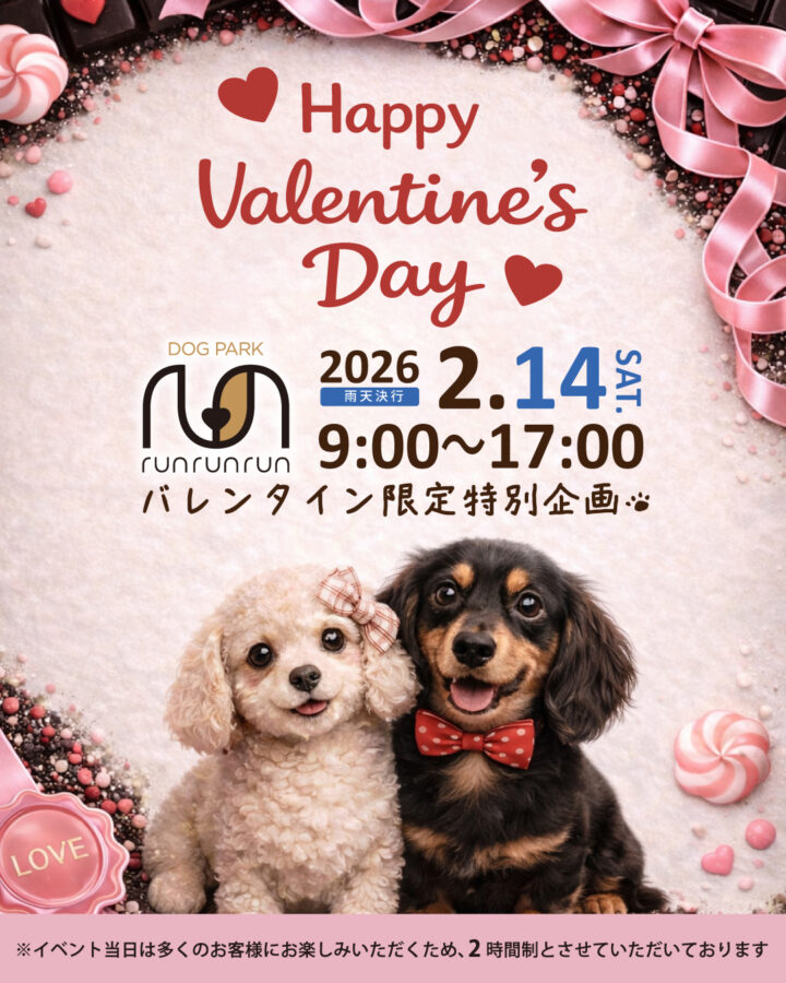【2月イベント】バレンタイン限定特別企画🐾