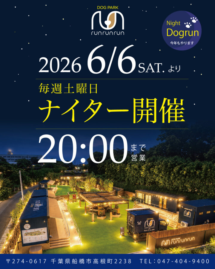 【2026ナイター開催】※夏季期間限定／土曜日のみ