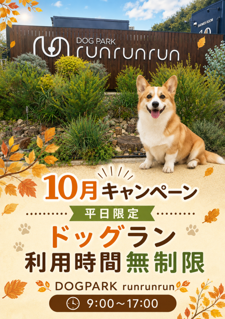 【10月キャンペーン】平日限定　／　利用時間無制限！！