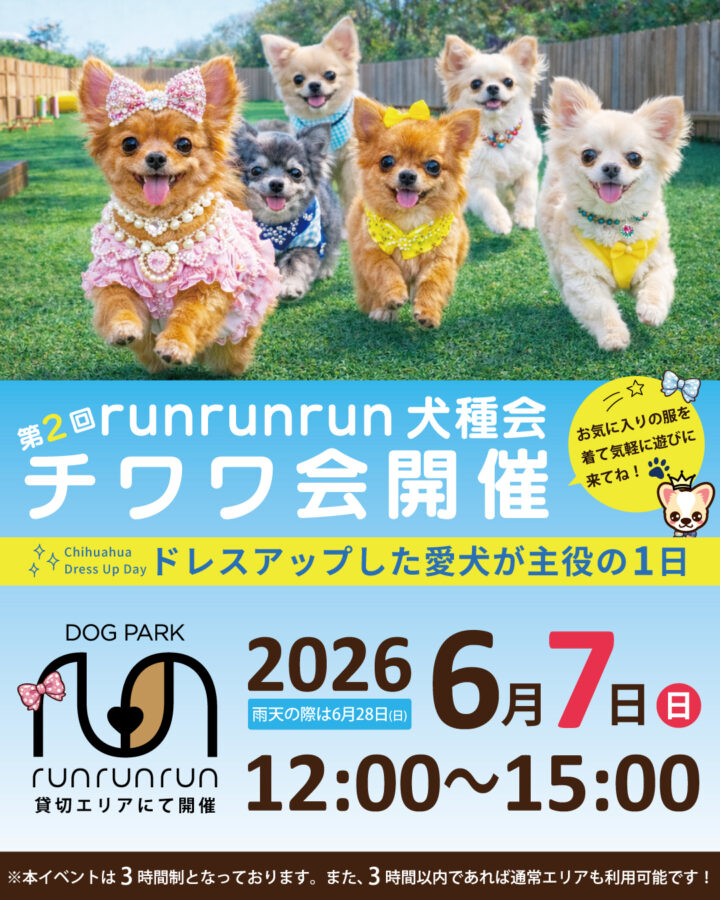 2026年6月7日(日)犬種会(チワワ)開催